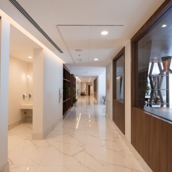 ILPI-Peninsula-Solo-6